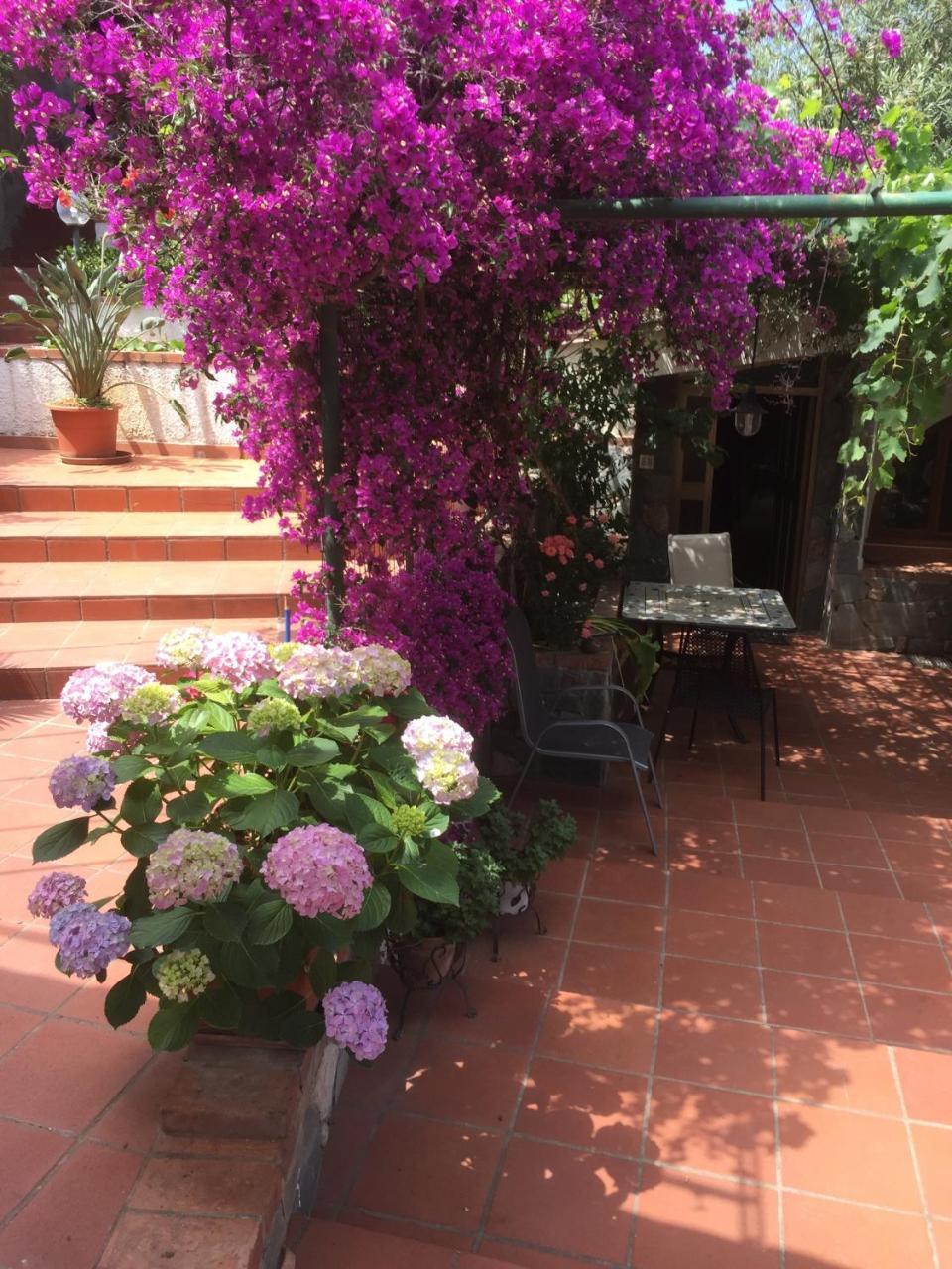L' Arca Residence Cefalù Eksteriør bilde